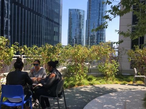 People chatting in a park Downtown San Francisco