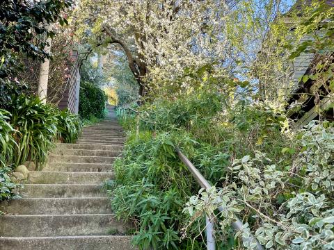 [Photo : escalier dans les collines de San Francisco au printemps]