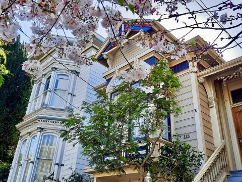 [Photo : maison victorienne et prunus en fleurs]
