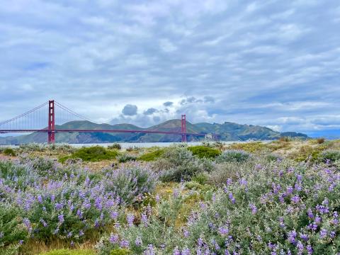 Crissy Field avec vue sur le Golden Gate Bridge