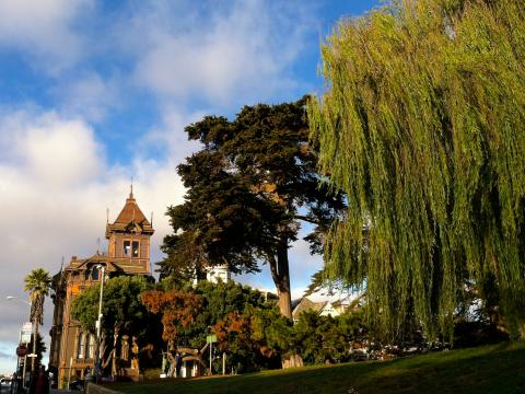 Photo : maison victorienne à Alamo Park